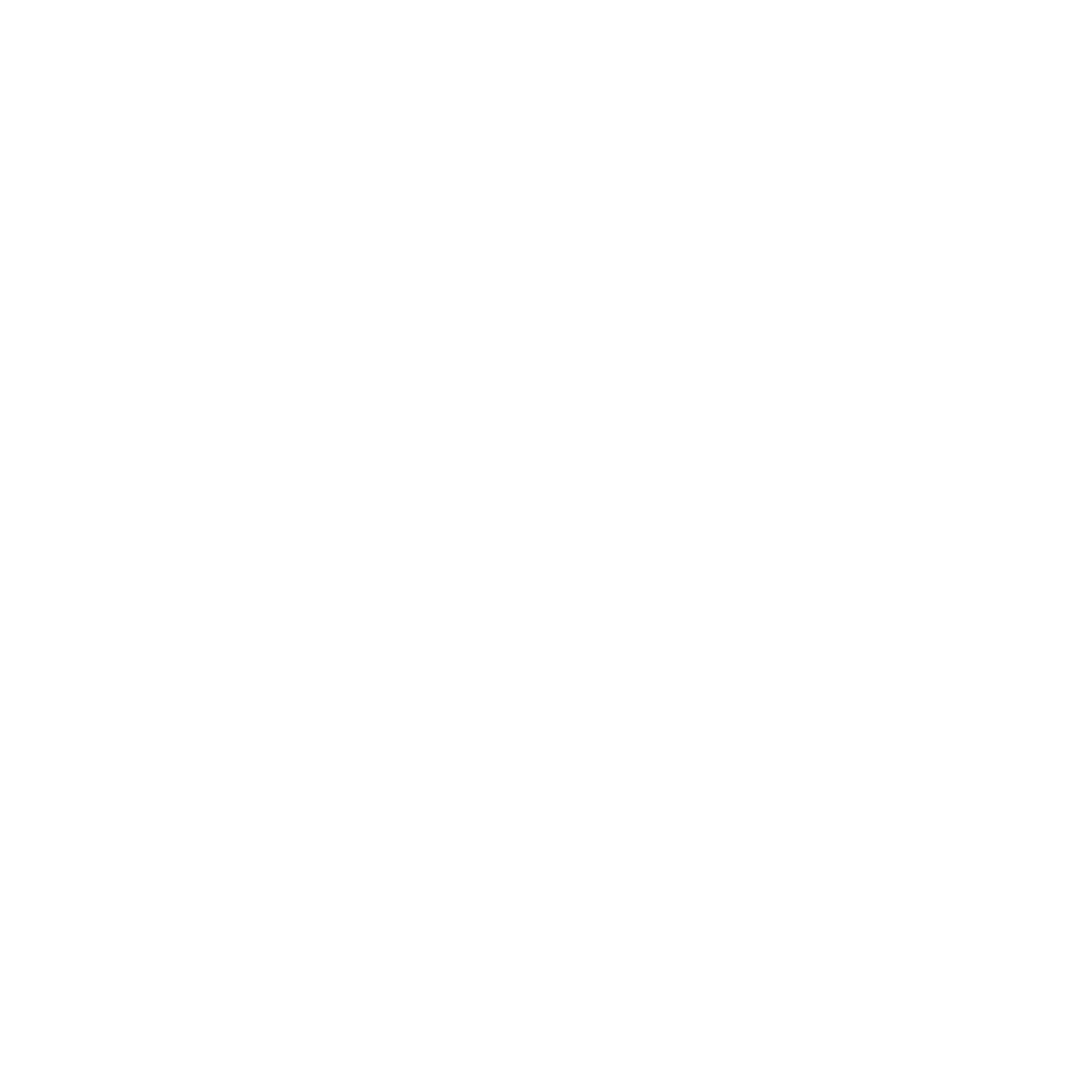 Cyber