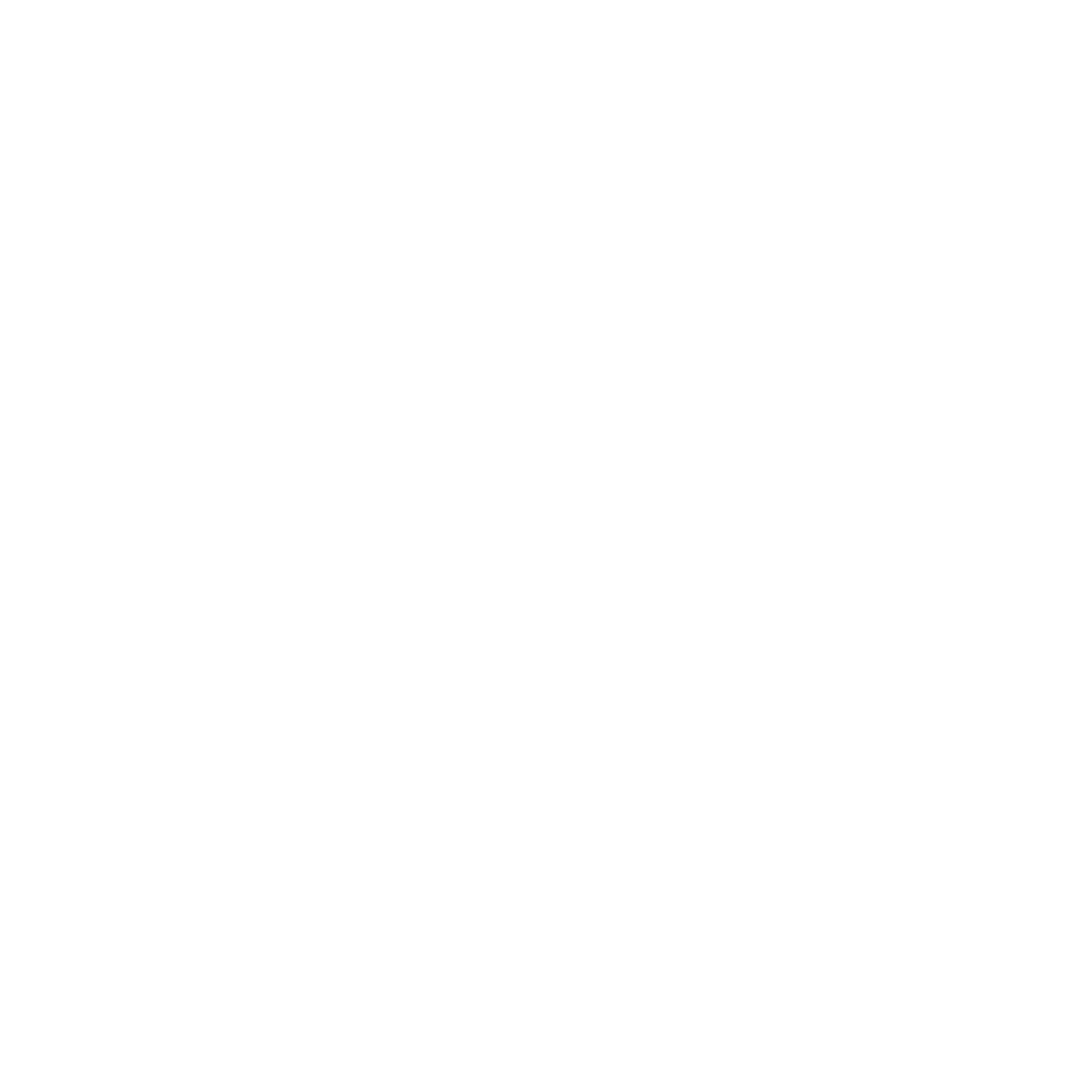 Lens